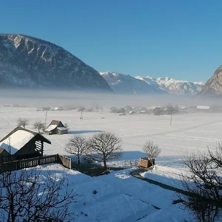 Cvetek Janez Appartamento *