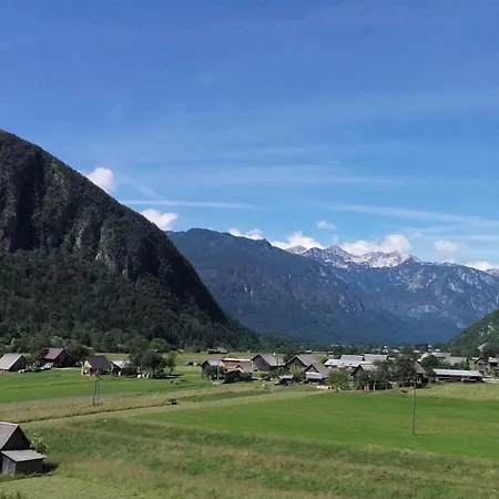 Cvetek Janez * Bohinj