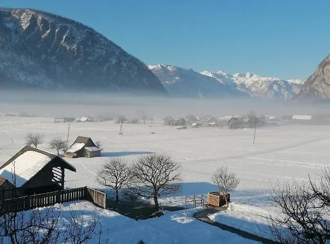 Cvetek Janez דירה *