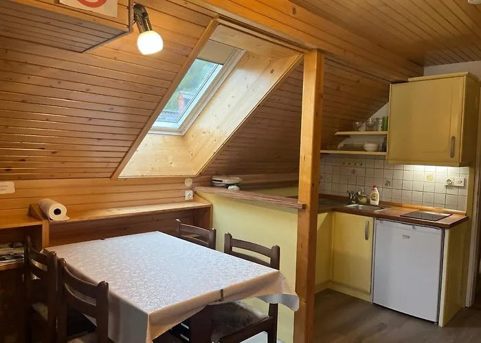 Cvetek Janez דירה בוהין