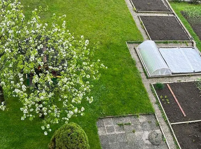 דירה Cvetek Janez בוהין