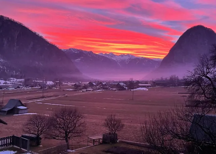 Cvetek Janez בוהין