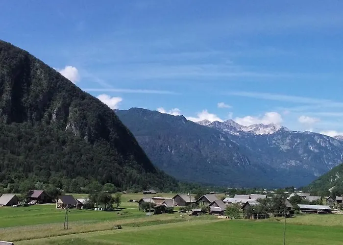 Cvetek Janez * בוהין